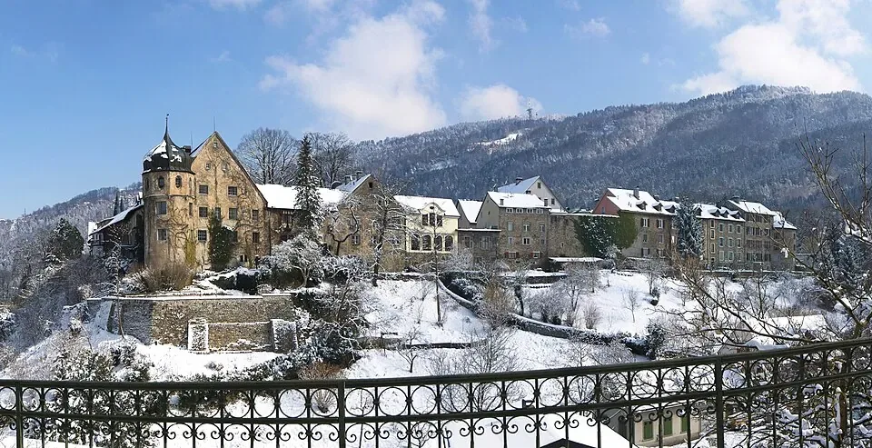 Stadtansicht Bregenz